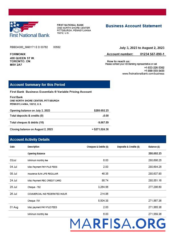 Printable First National Bank firm statement Word and PDF template